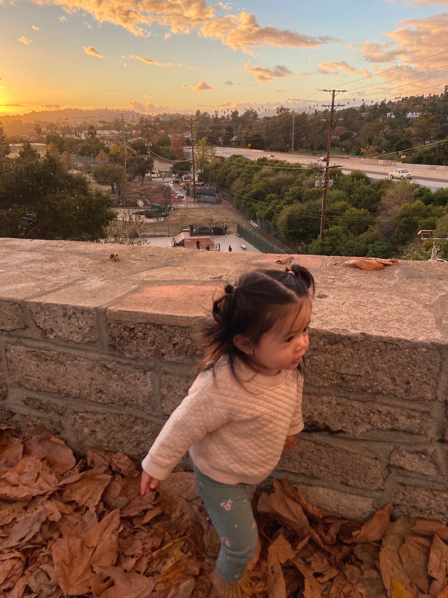 Orange Blossom Rashguard