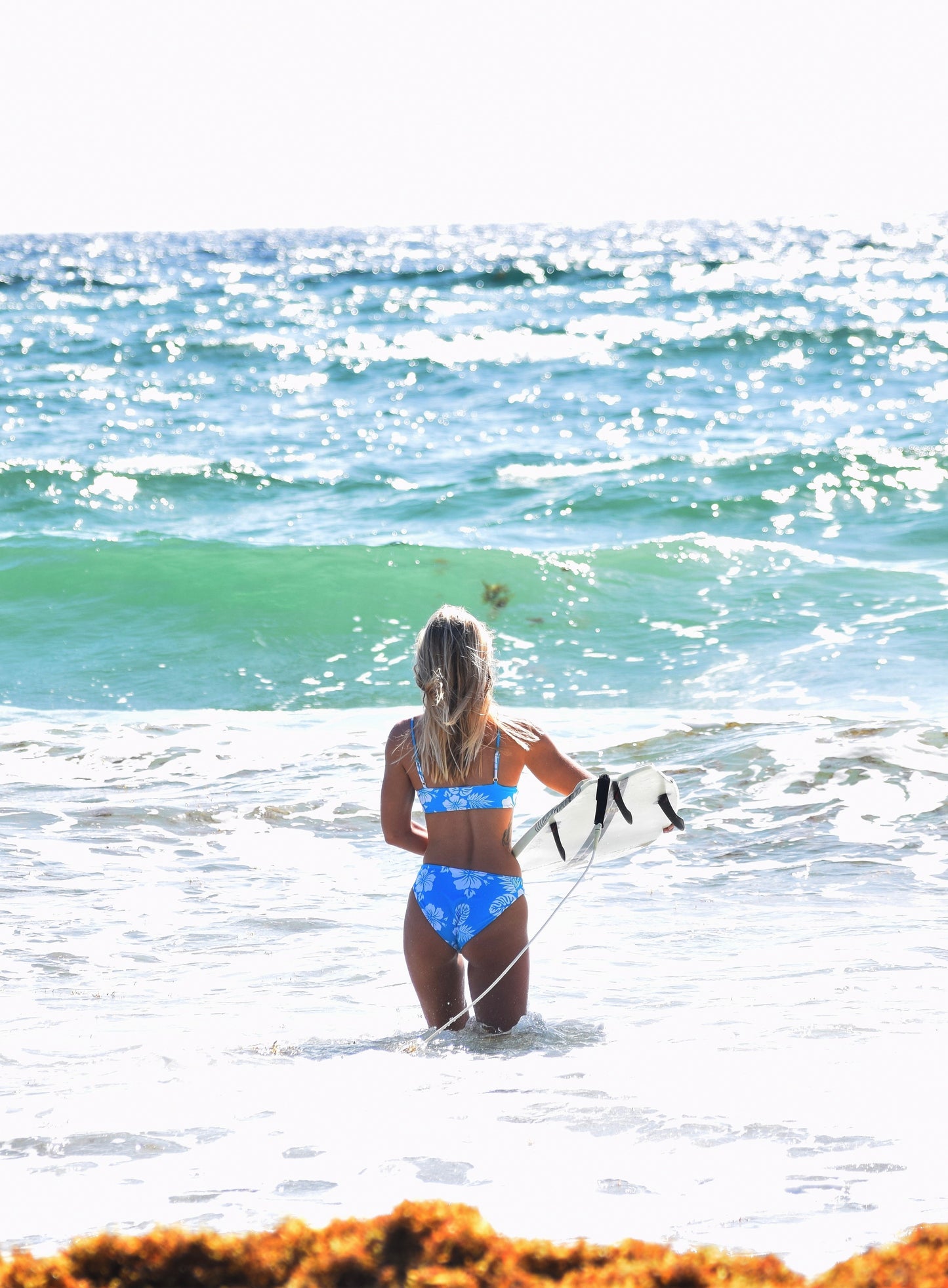 Blue Crush Basic Bottoms